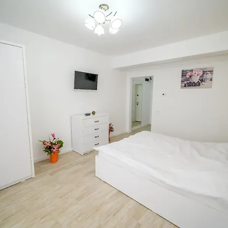 Apartment Mesterul Casei